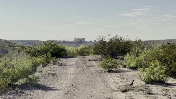 在新墨西哥州的拉斯克鲁塞斯，奔跑者穿越小路