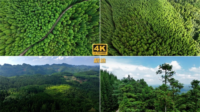 大美贵州 平坝森林航拍素材 宣传片 4K
