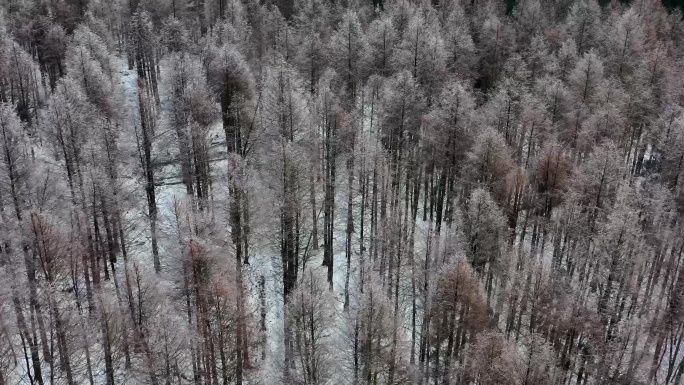 成都市崇州市琉璃坝雪后航拍