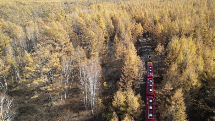 森林小火车