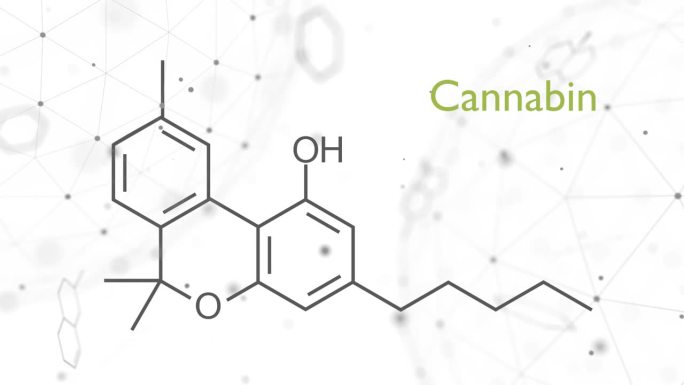 大麻酚或CBN分子结构化学式。未来科学背景。药理学的概念