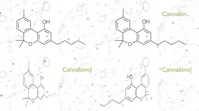 大麻酚或CBN分子结构化学式。未来科学背景。药理学的概念