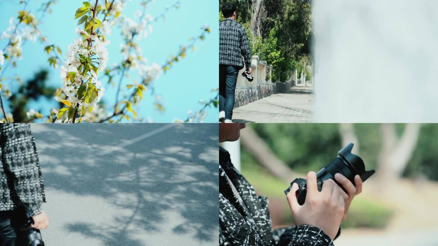 摄影师拍樱花街拍文艺短片