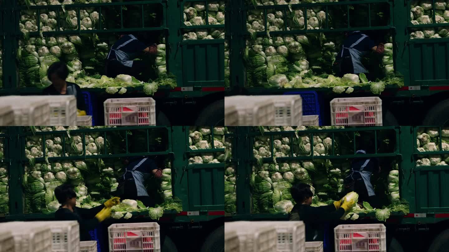 寿光蔬菜物流园菜贩整理蔬菜