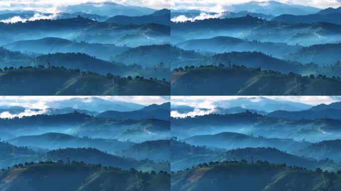 云雾缭绕的茶山