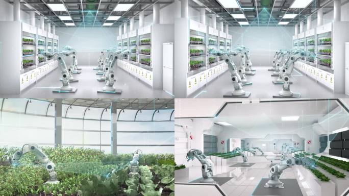 农业发展科技温室大棚