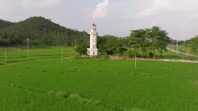 江门开平乡村绿色稻田中的一座白塔