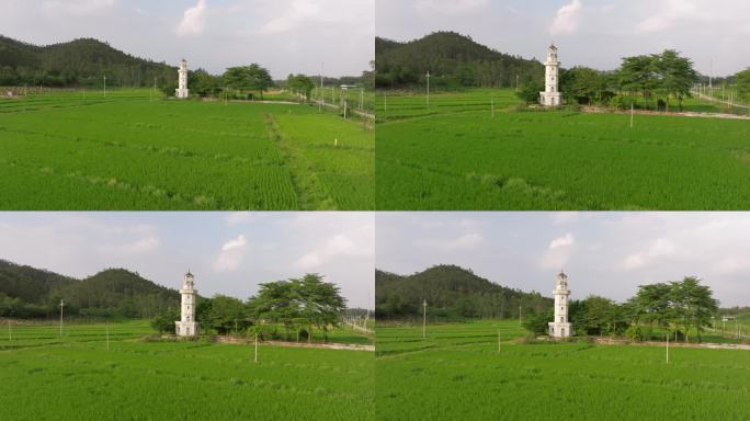 江门开平乡村绿色稻田中的一座白塔