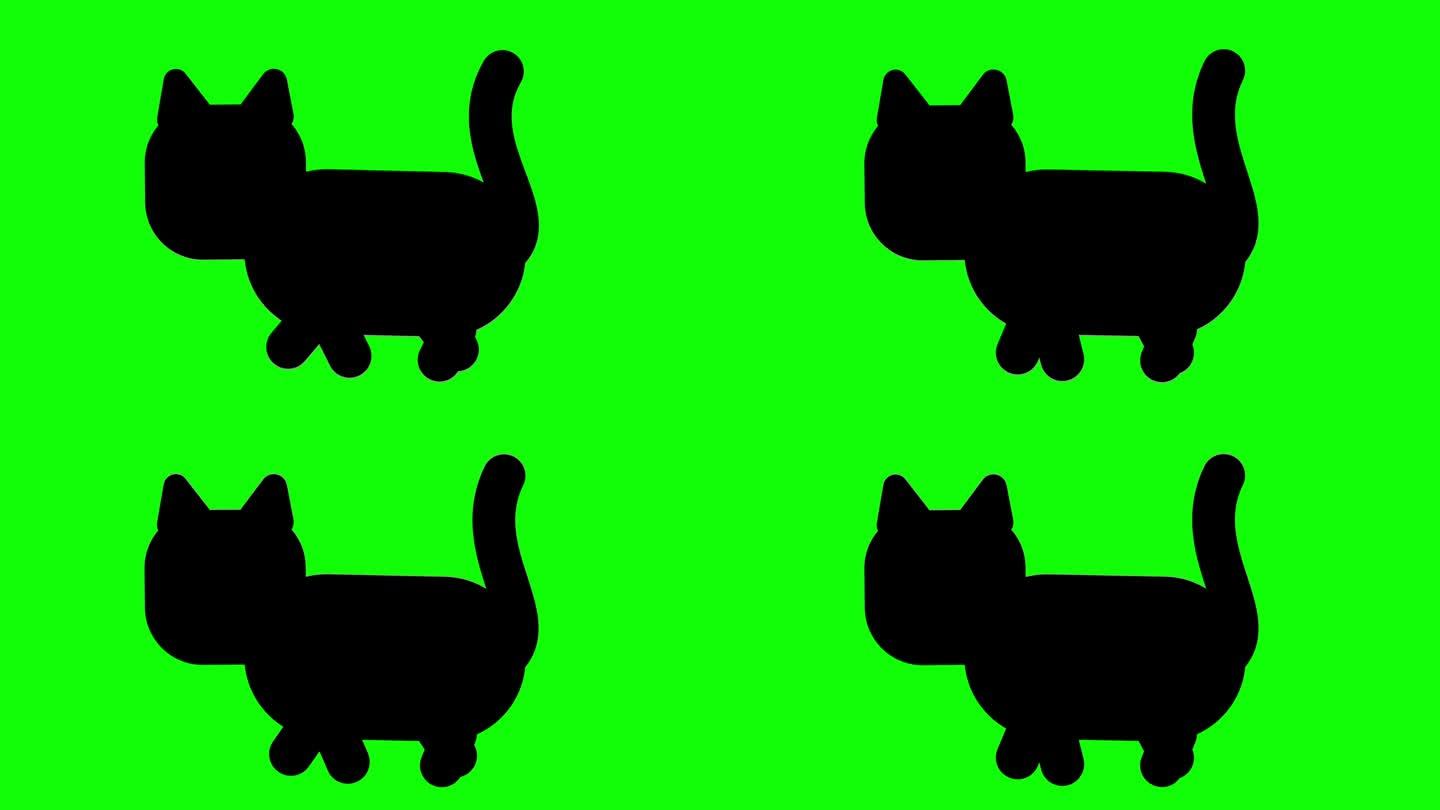 黑猫剪影走在绿色的屏幕背景。4K