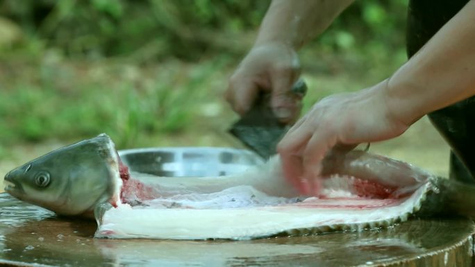 杀鱼 鱼生 生鱼片 鱼生 美食 舌尖