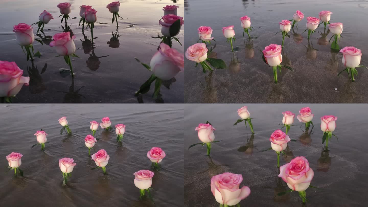 大海玫瑰花情人节晚风吹花朵浪沙滩插满鲜花