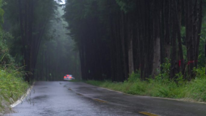 阴雨天的森林公路