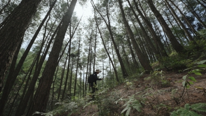 户外探险使用平板 生物植物学家