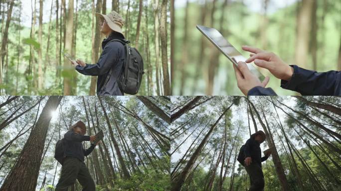 户外探险使用平板 生物植物学家