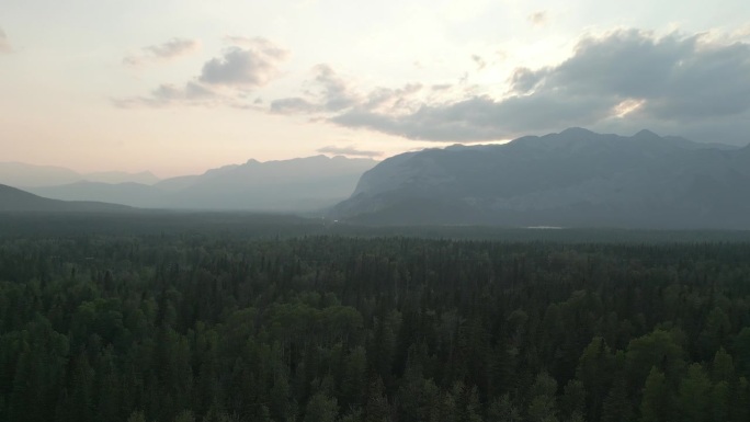 贾斯珀国家公园的森林和山脉的空中无人机视图