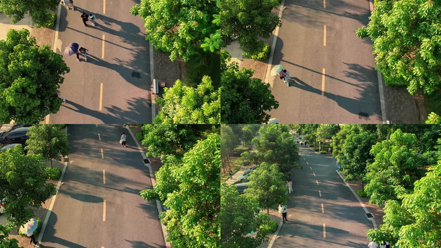 校园道路航拍空镜头4k