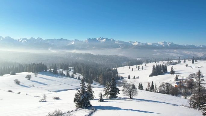 壮丽的高山景色和白色的冬天。鸟瞰雪山景观。塔特拉高山和神奇的未受破坏的风景与冰冻的云杉树。