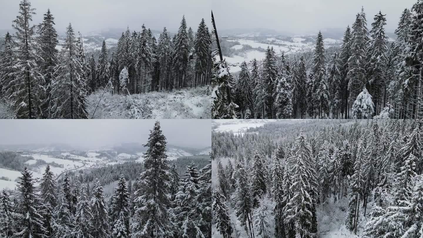 鸟瞰图的冰冻森林与积雪覆盖的树木在冬天。飞越冬季森林，俯视图。