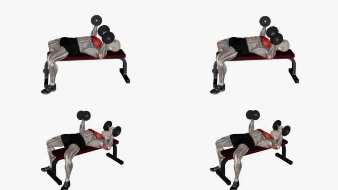 哑铃胸压平健身运动锻炼动画男性肌肉突出演示4K分辨率60 fps