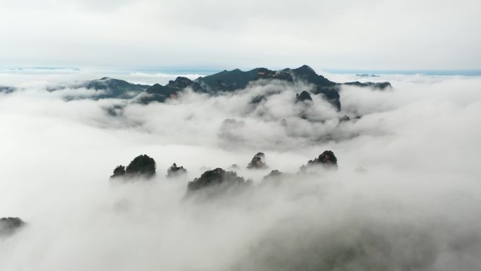 宣传片风景素材 大美张家界云海 大好河山