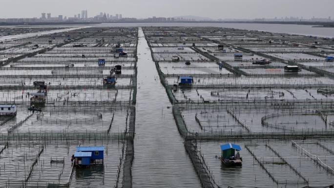 航拍苏州阳澄湖大闸蟹养殖地