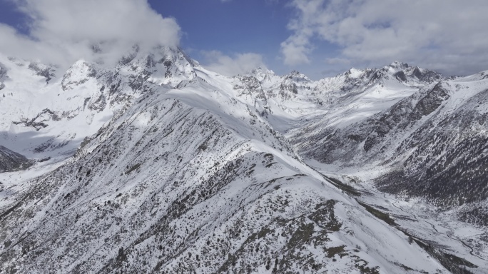 白马雪山