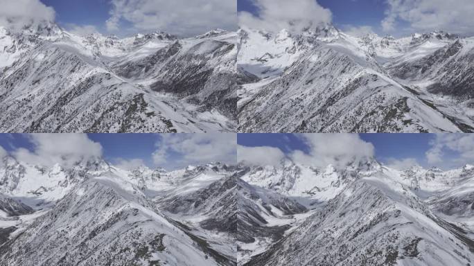 白马雪山