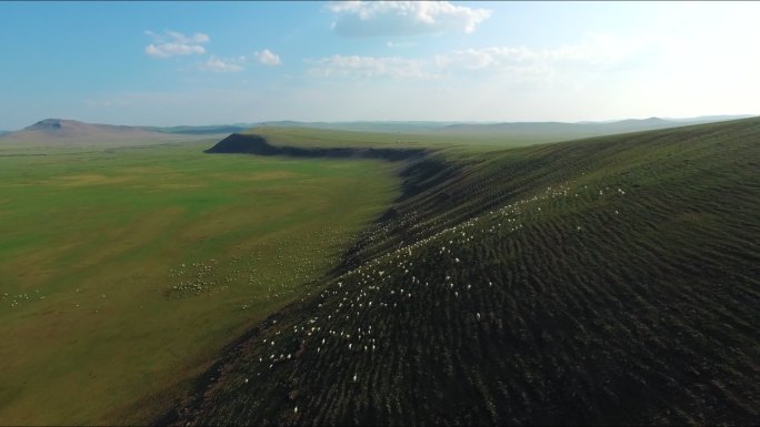 航拍内蒙古草原广阔草原山坡上的马群羊群