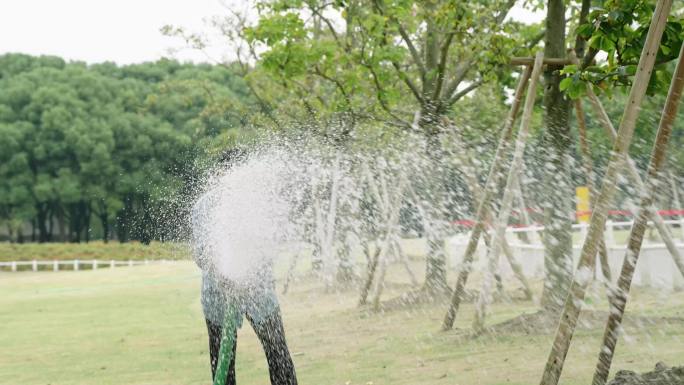 浇水养护绿植