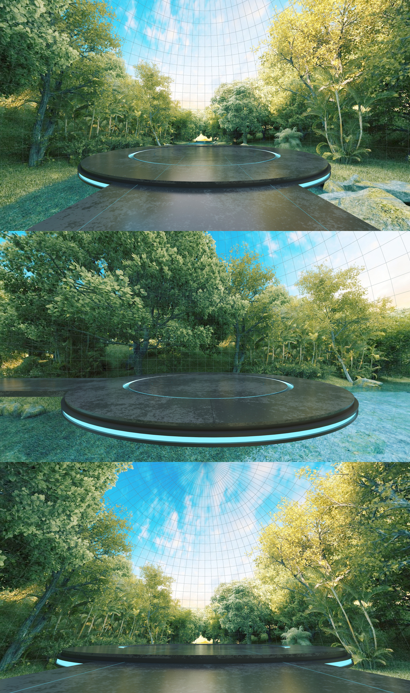 VR夏天树林360度全景4K