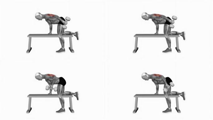 哑铃反踢健身运动锻炼动画男性肌肉突出演示4K分辨率60 fps