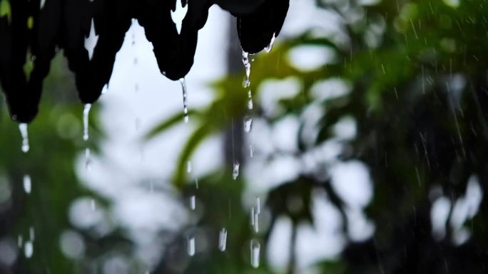 泰国曼谷大雨伴强风