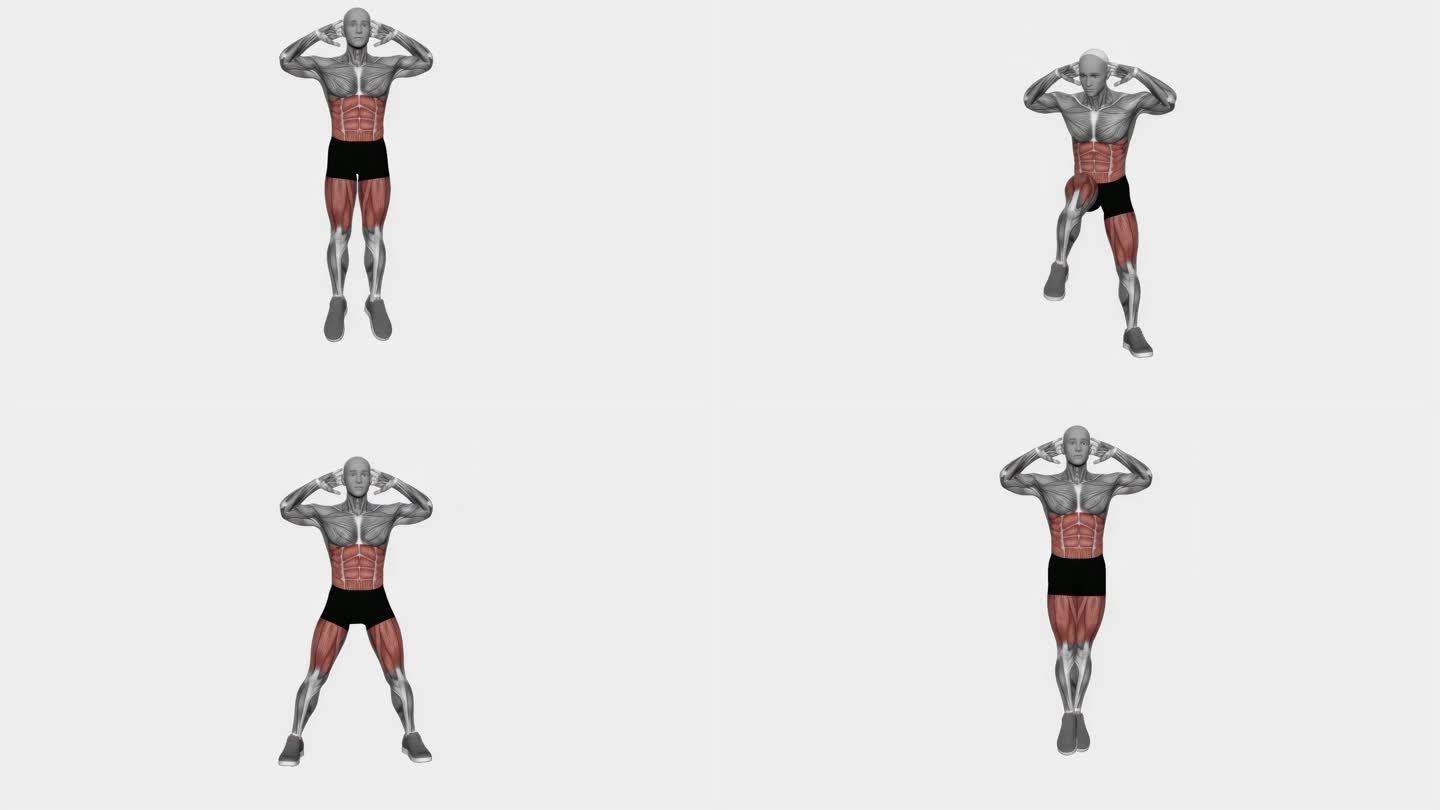 交叉肘到膝盖健身运动锻炼动画男性肌肉突出演示4K分辨率60 fps