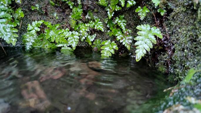 山水滴落