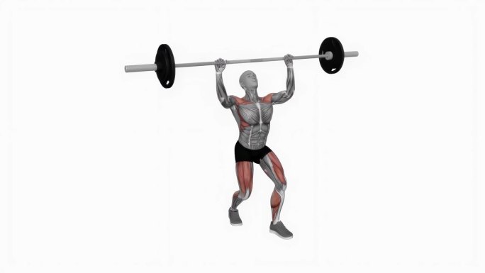 杠铃清洁和挺举分蹲健身运动锻炼动画男性肌肉突出演示4K分辨率60 fps