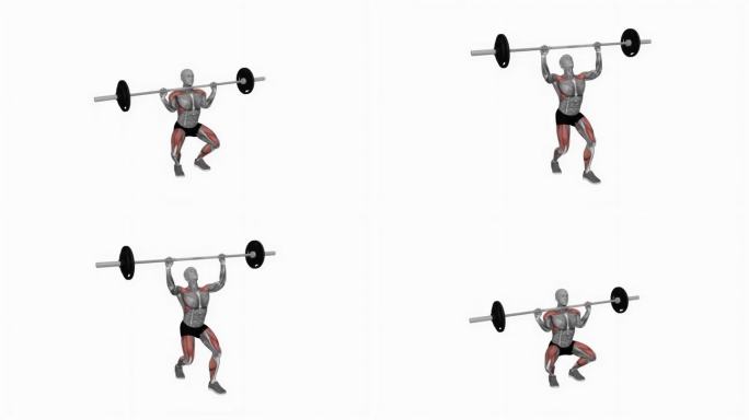杠铃清洁和挺举分蹲健身运动锻炼动画男性肌肉突出演示4K分辨率60 fps