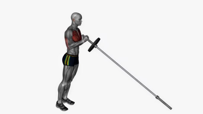 地雷胸部按压健身运动锻炼动画男性肌肉突出演示4K分辨率60 fps