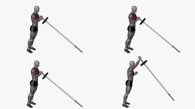 地雷胸部按压健身运动锻炼动画男性肌肉突出演示4K分辨率60 fps