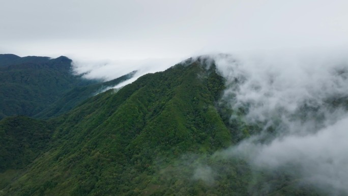 巴中大巴山云雾山脉4k