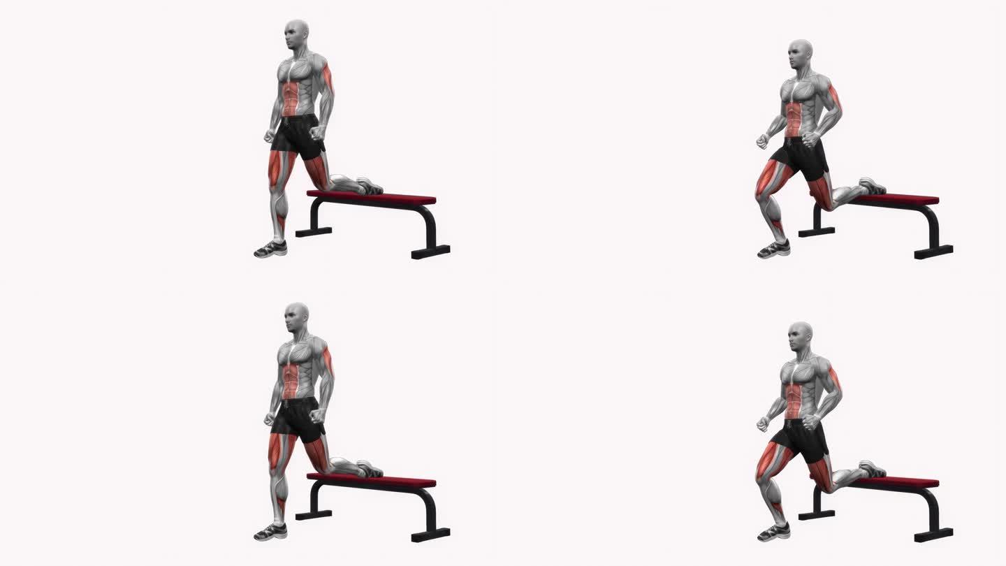 长凳保加利亚分腿深蹲右健身运动锻炼动画男性肌肉突出演示4K分辨率60 fps