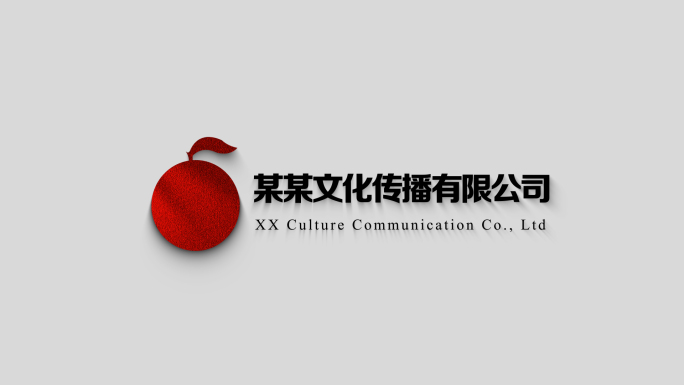 公司名称LOGO开场片头