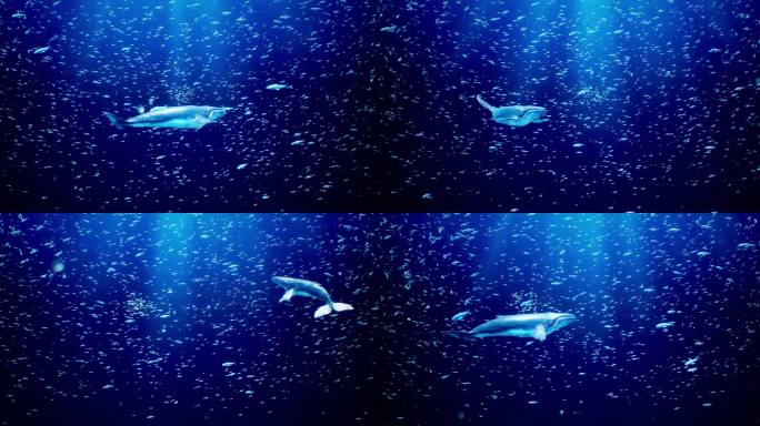 梦幻海底鲸鱼鱼群