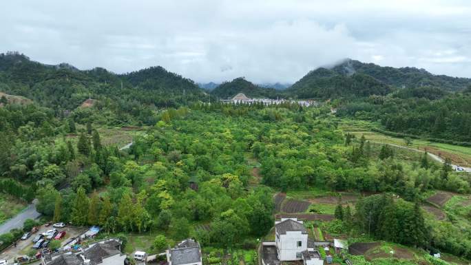 航拍安徽省黟县黄山西递古村落