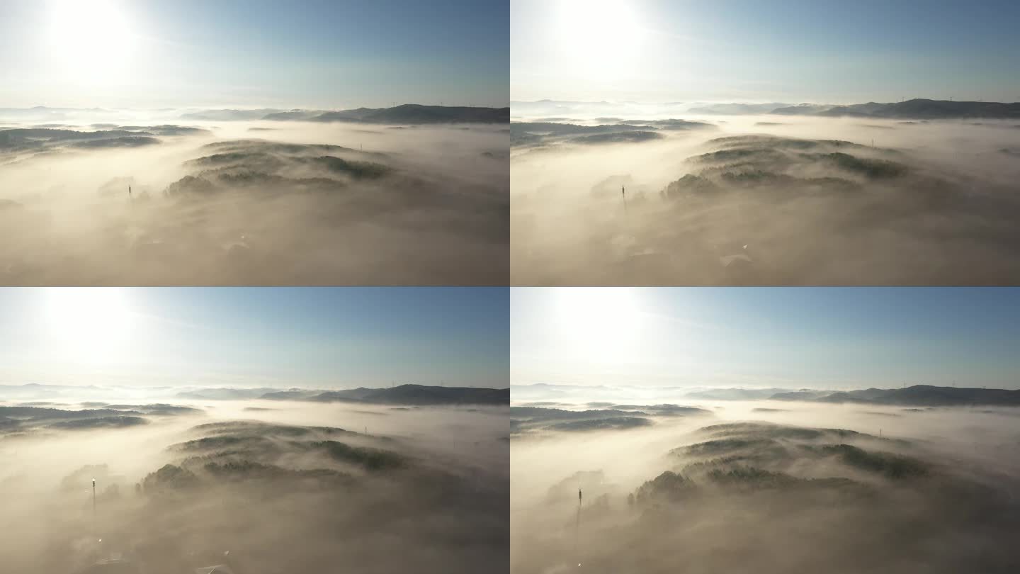 塞罕坝的晨雾航拍