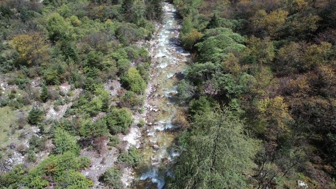 彩林溪水溪涧