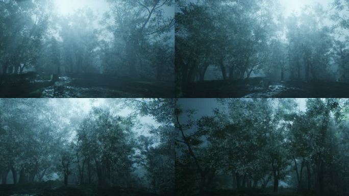 4k幽蓝月光神秘森林①
