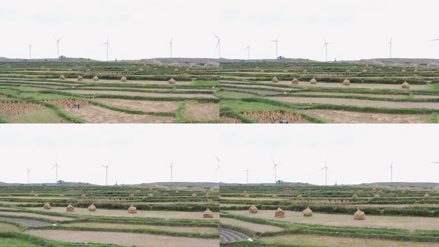高坡稻田新能源风力发电