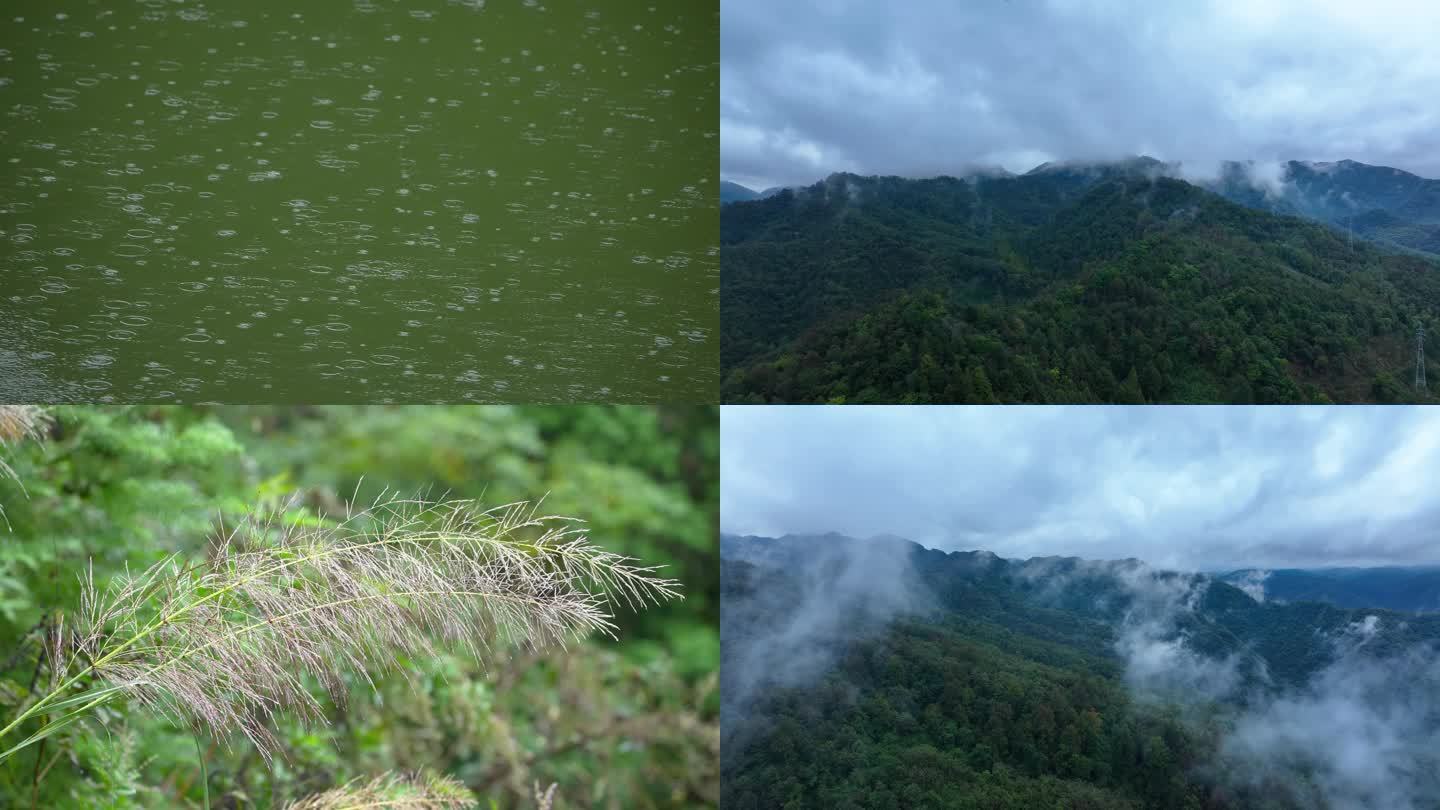 阴雨雨天清明雨季雨滴雨季下雨天