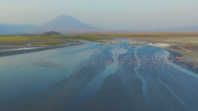 非洲纳特龙湖 伦盖火山 非洲自然风光