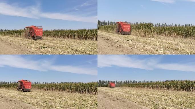 玉米丰收现代收割机